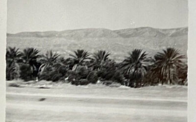 Une histoire singulière dans l’histoire collective